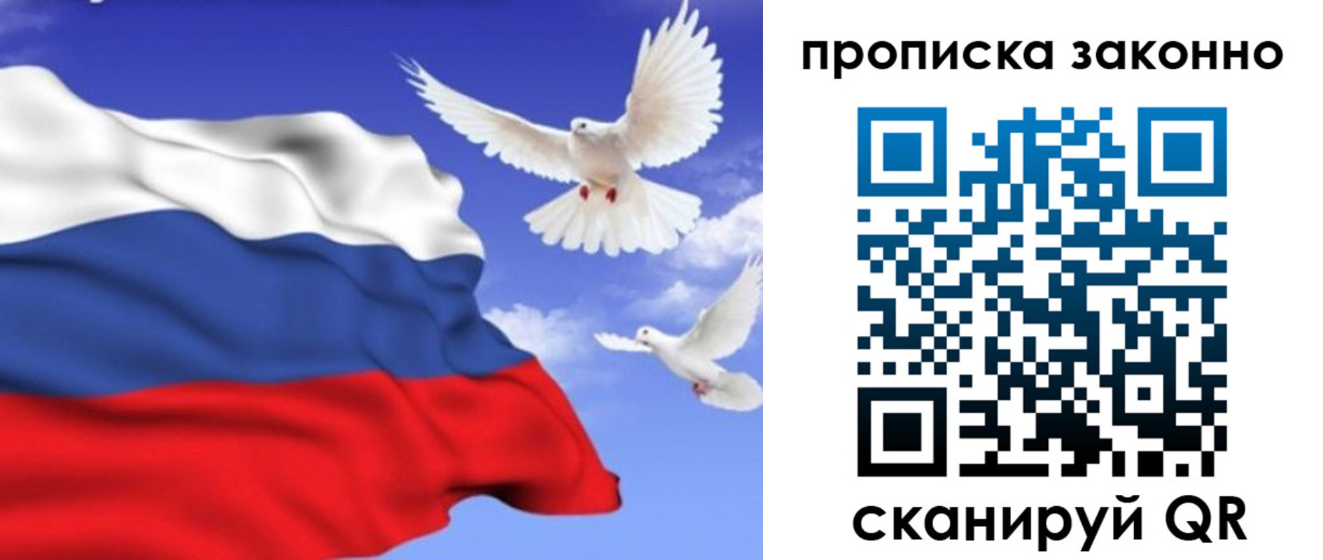прописка в Борисоглебске